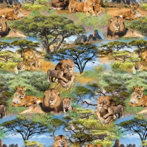 Serengeti Plains
