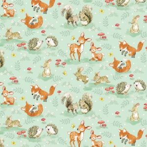 From Little Acorns