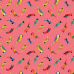 Safari Fun - Jungle Birds - Sorbet