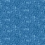 Blooming Colour 2 - Caroline Blue