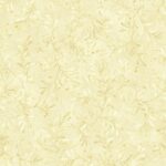 Star of Wonder, Star of Light - Pine Boughs - Cream