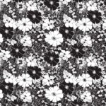 Black Tie 108 - Blank Quilting - Floral - Black/White