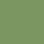 Superior Solids - Benartex - Evergreen