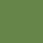 Superior Solids - Benartex - Juniper