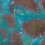 Fossil Fern - Benartex - Stormy Sea