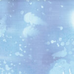 Fossil Fern Wide 108 - Sky (0X)