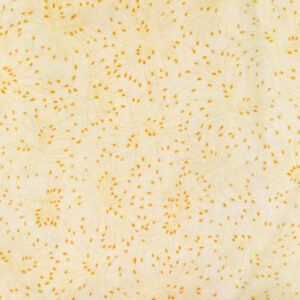 Sparkle 108 - Blank Quliting