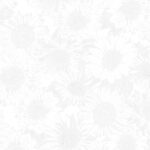 Sunflower Whispers 108 - Kanvas - White