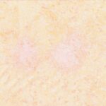 Fairy Frost - Creamsicle