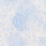 Fairy Frost - Wedgewood