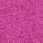 Fairy Frost - Wildberry