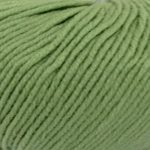Broadway Yarns Merino DK - 1002 Apple