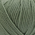 Broadway Yarns Merino DK - 703 Sage