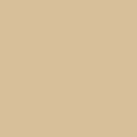 Superior Solids - Benartex - Chamois