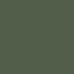 Superior Solids - Benartex - Fern