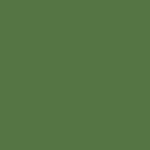 Superior Solids - Benartex - Shamrock