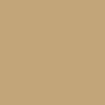 Superior Solids - Benartex - Toast