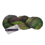 Rios Superwash Merino Worsted - 016 Glazed Carrot