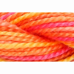 Pearl Cotton 5 Varigated Embroidery Thread - P-1315