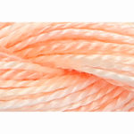 Pearl Cotton 5 Varigated Embroidery Thread - P-1318