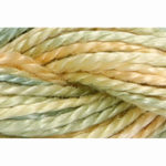 Pearl Cotton 5 Varigated Embroidery Thread - P-1353