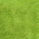 Wool Blend Felt Pieces - 2721 Limelight