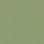 Aida 20ct - 110cm, 6016 (Fern Green)