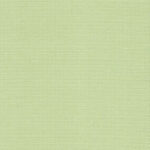 Aida 20ct - 110cm, 6083 (Mimosa Green)