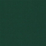 Aida 14ct - 647 (Forest Green)