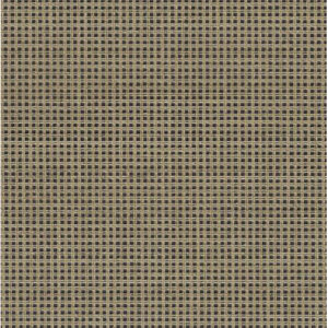 Canvas 10ct