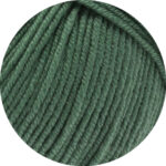 Cool Wool Big DK - Reseda Green (0967)