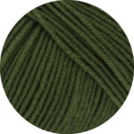 Cool Wool 5 Ply - Dark Olive (2042)