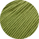 Cool Wool 5 Ply - Khaki (2090)